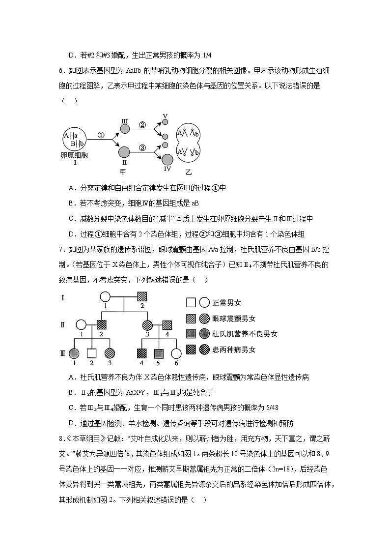 河南省部分学校2024-2025学年高三下学期3月联考生物试题（附答案解析）第3页