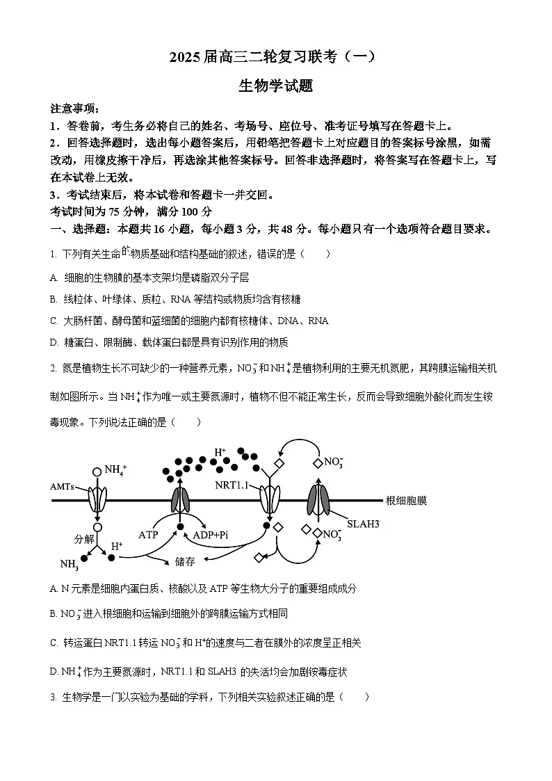 河南省部分学校2024-2025学年高三下学期3月联考生物试题（原卷版+解析版）第1页