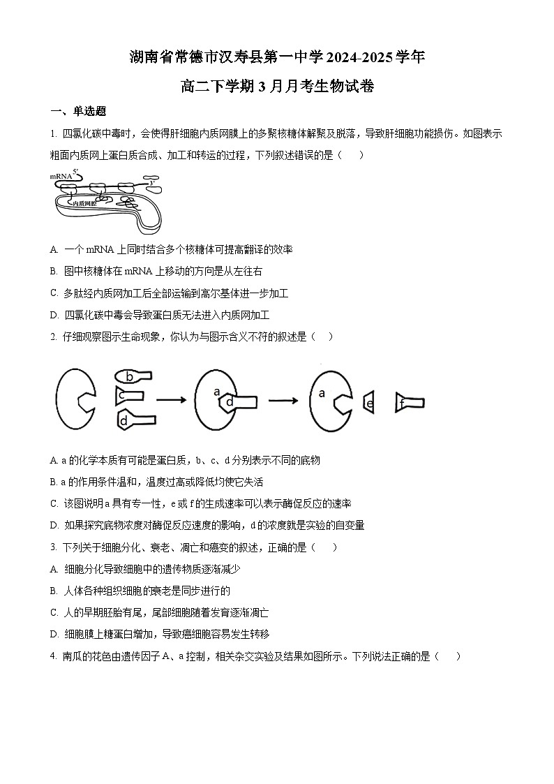 湖南省常德市汉寿县汉寿县第一中学2024-2025学年高二下学期3月月考生物试题（原卷版+解析版）第1页