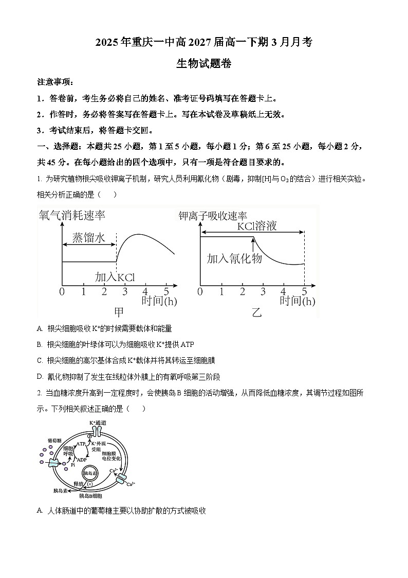 重庆市第一中学校2024-2025学年高一下学期3月月考生物试题（原卷版+解析版）第1页