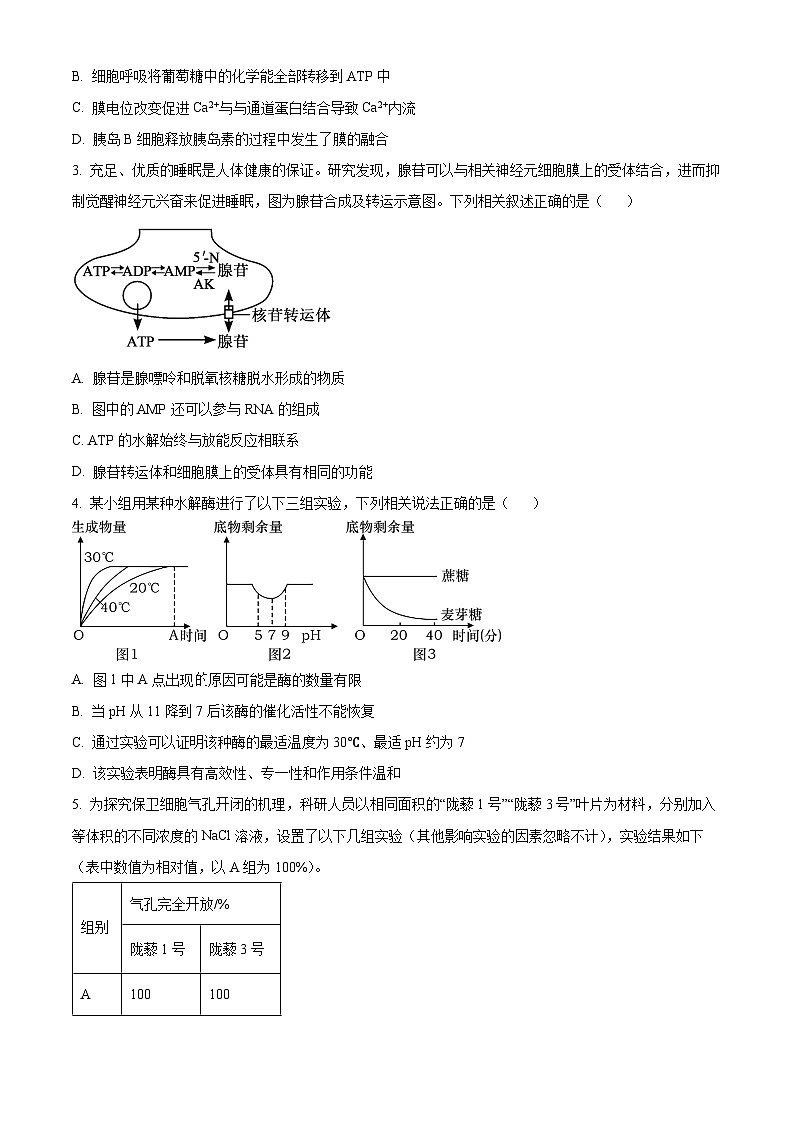 重庆市第一中学校2024-2025学年高一下学期3月月考生物试题（原卷版+解析版）第2页