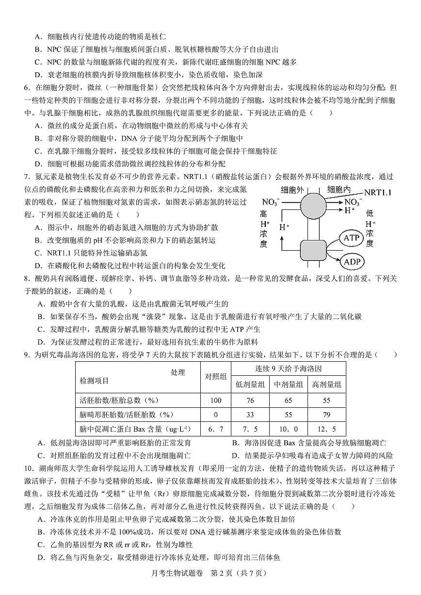 2024届湖南省衡阳市第八中学高三上学期10月月考二-生物试题（含答案）第2页