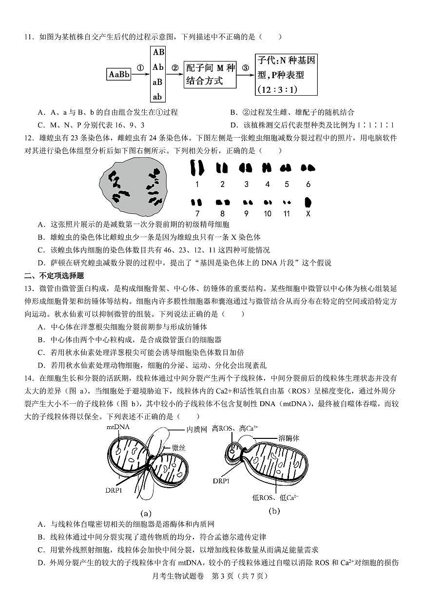 2024届湖南省衡阳市第八中学高三上学期10月月考二-生物试题（含答案）第3页