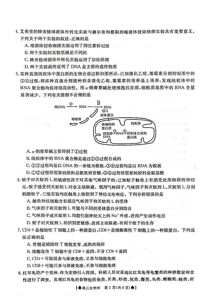 2024届湖南省高三下学期开学统一考试(2月)-生物试题（含答案）第2页