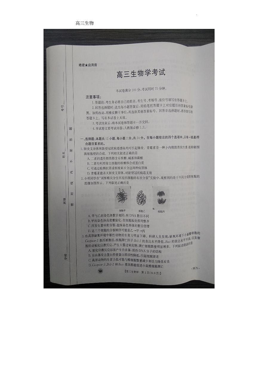 2024届湖南省衡阳市衡南县高三上学期11月期中-生物试题（含答案）第1页