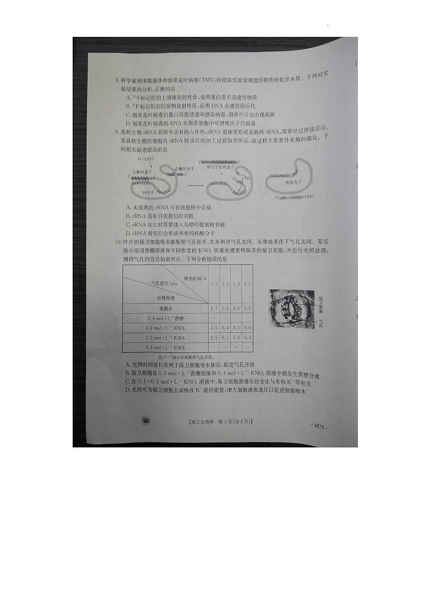 2024届湖南省衡阳市衡南县高三上学期11月期中-生物试题（含答案）第3页