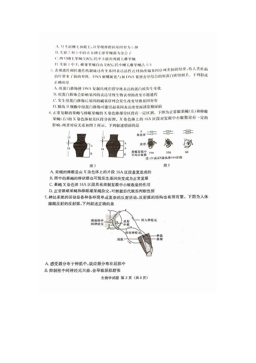2024届湖南省娄底市高三上学期期末质量检测（1月）-生物试题（含答案）第2页