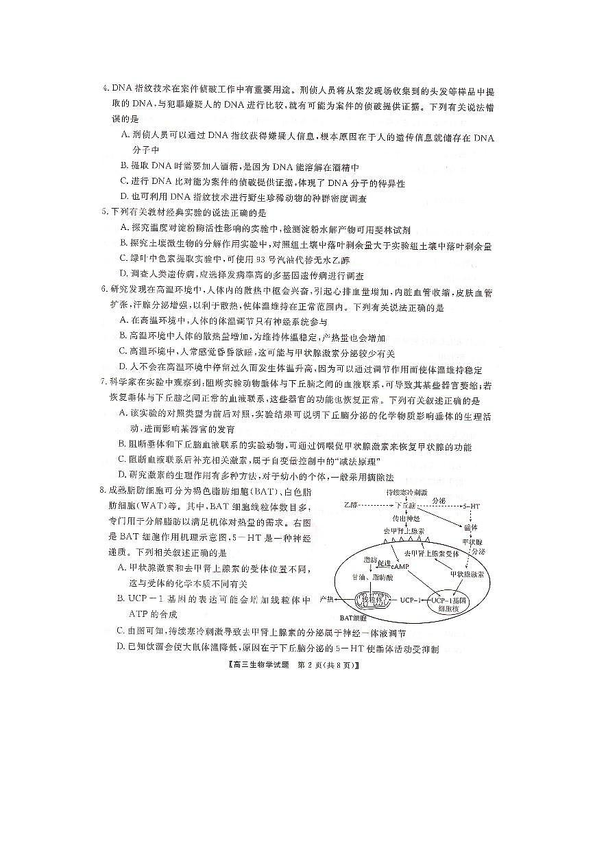 2024届湖南省三湘名校联盟高三上学期12月第二次联考-生物试题（含答案）第2页