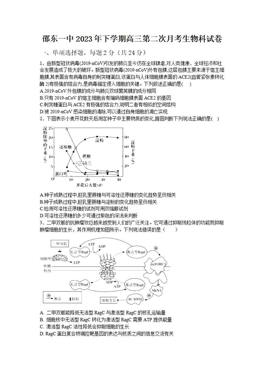 2024届湖南省邵东市第一中学高三上学期第二次月考(9月)-生物试题（含答案）第1页