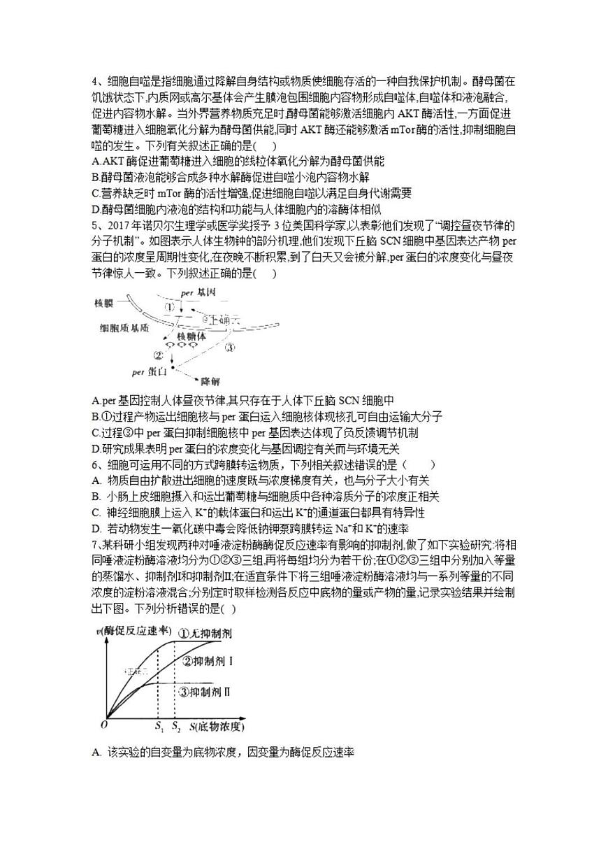 2024届湖南省邵东市第一中学高三上学期第二次月考(9月)-生物试题（含答案）第2页