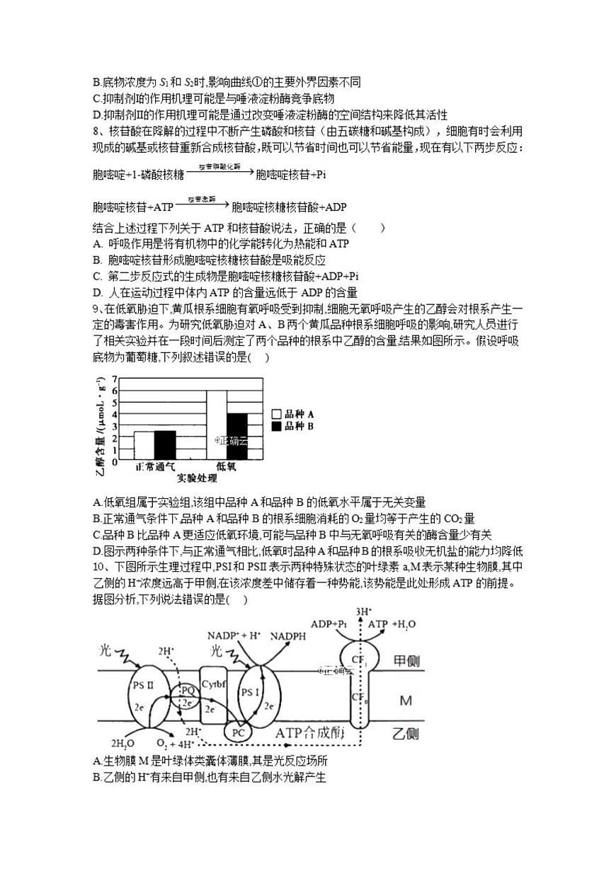 2024届湖南省邵东市第一中学高三上学期第二次月考(9月)-生物试题（含答案）第3页