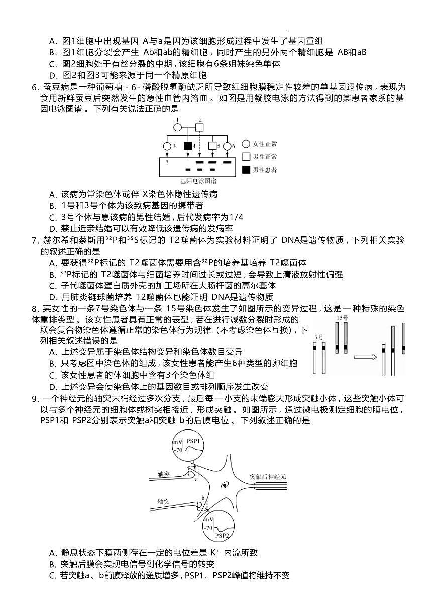 2024届湖南省三湘名校高三上学期10月大联考-生物试题（含答案）第2页