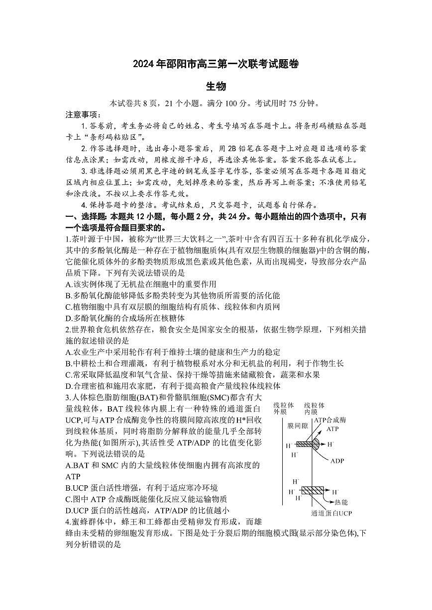 2024届湖南省邵阳市高三上学期第一次联考（一模）(1月)-生物试题（含答案）第1页