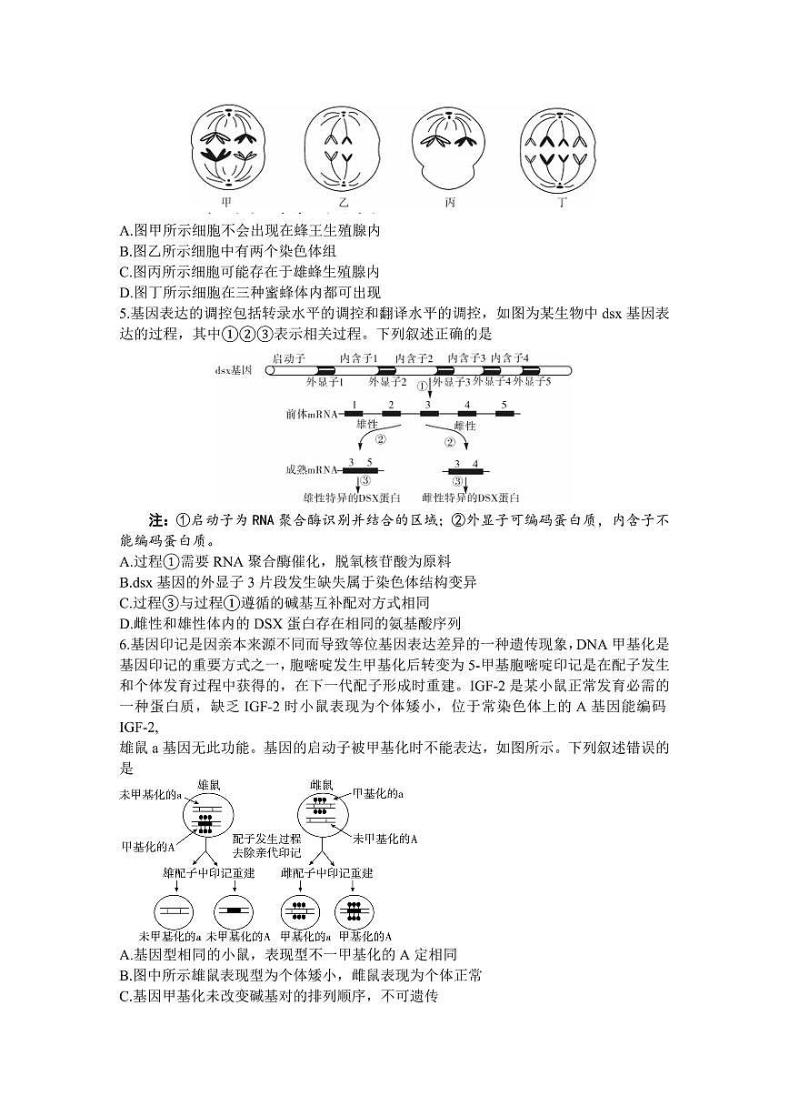 2024届湖南省邵阳市高三上学期第一次联考（一模）(1月)-生物试题（含答案）第2页