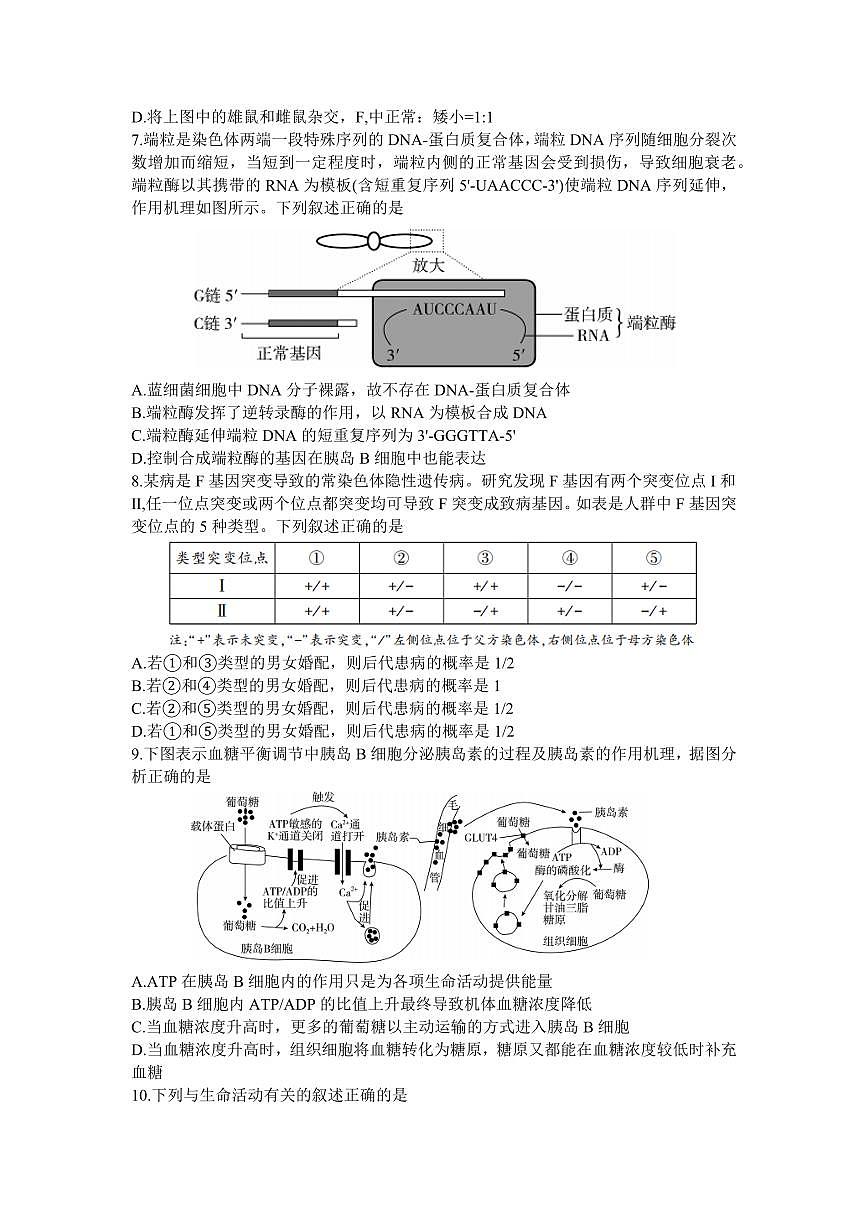 2024届湖南省邵阳市高三上学期第一次联考（一模）(1月)-生物试题（含答案）第3页