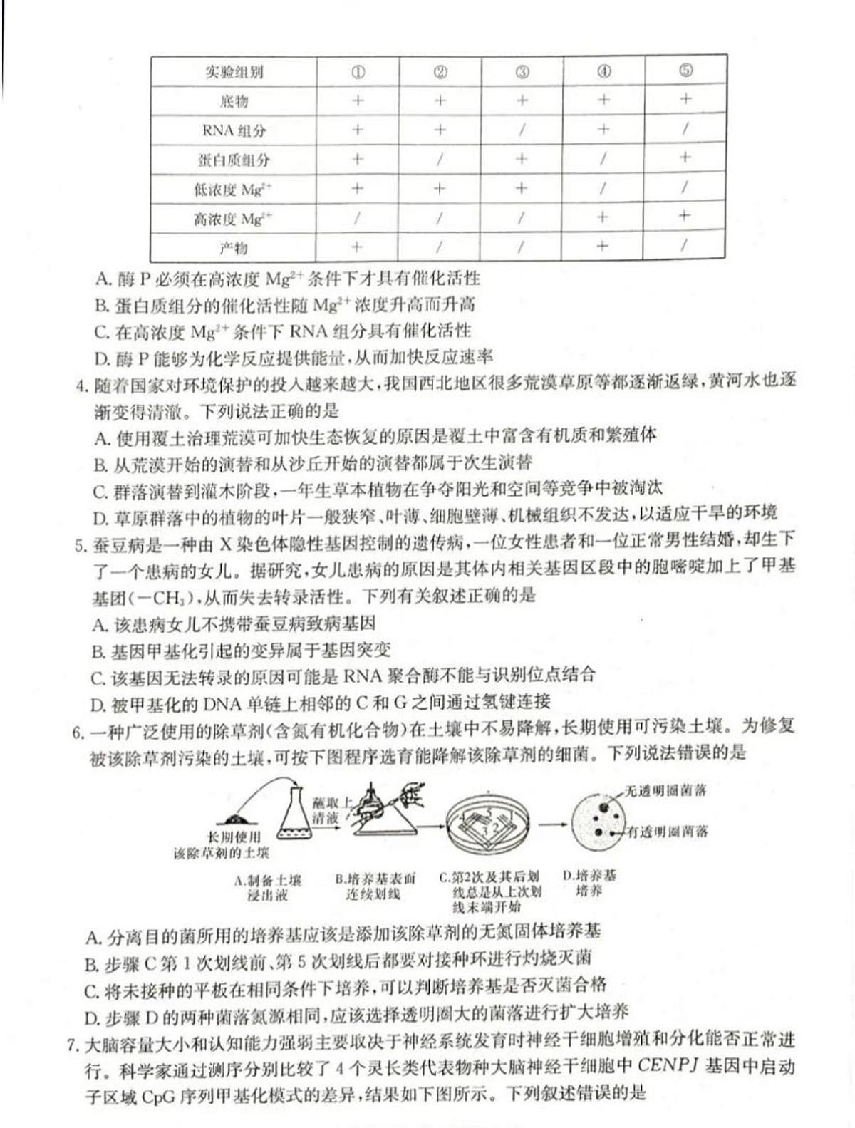 2024届湖南省新高考教学教研联盟高三下（3月）-生物试题（含答案）第2页