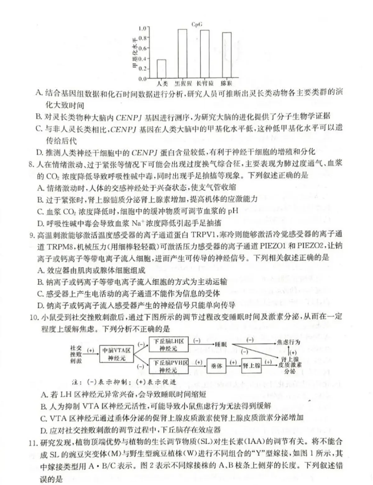 2024届湖南省新高考教学教研联盟高三下（3月）-生物试题（含答案）第3页