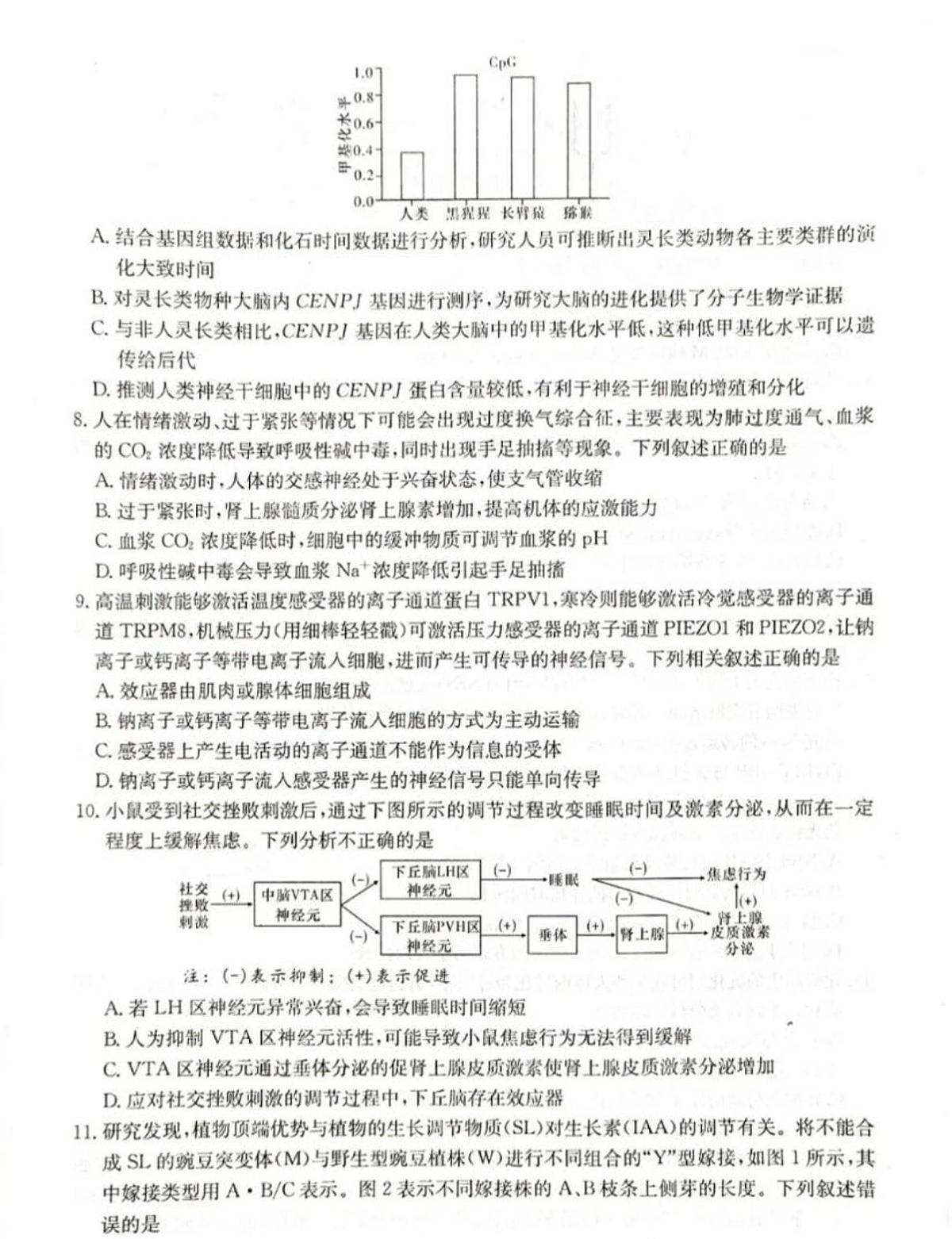 2024届湖南省新高考教学教研联盟高三下（3月）-生物试题（含答案）第3页
