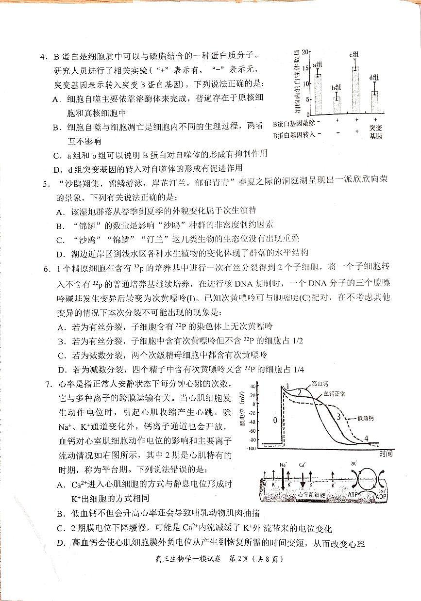 2024届湖南省岳阳市高三上学期质量监测（一）(1月)-生物试题（含答案）第2页