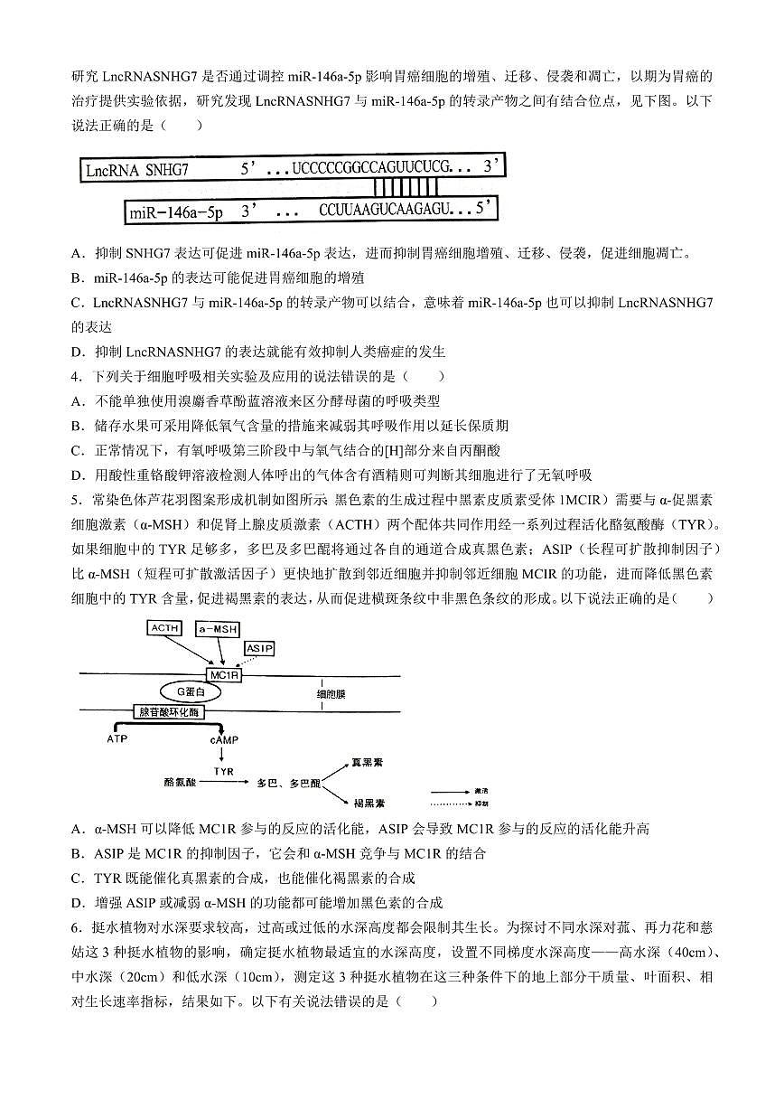 2024届湖南省岳阳市高三下学期二模-生物试卷（含答案）第2页