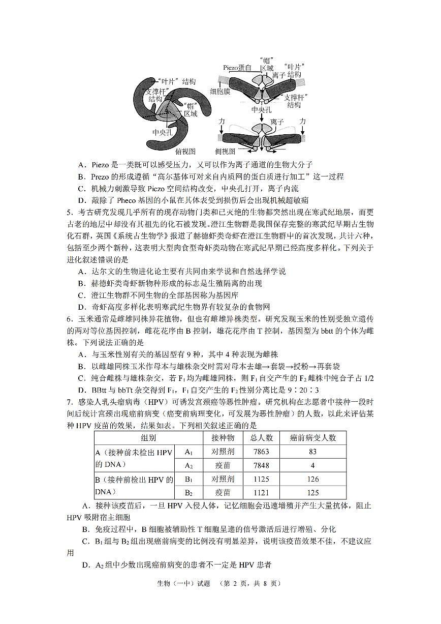 2024届湖南省长沙市第一中高三下学期高考适应性演练（一）-生物试卷（含答案）第2页