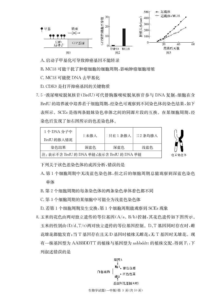 2024届湖南省长沙市第一中学高三上学期月考卷（三）-生物试题（含答案）第3页