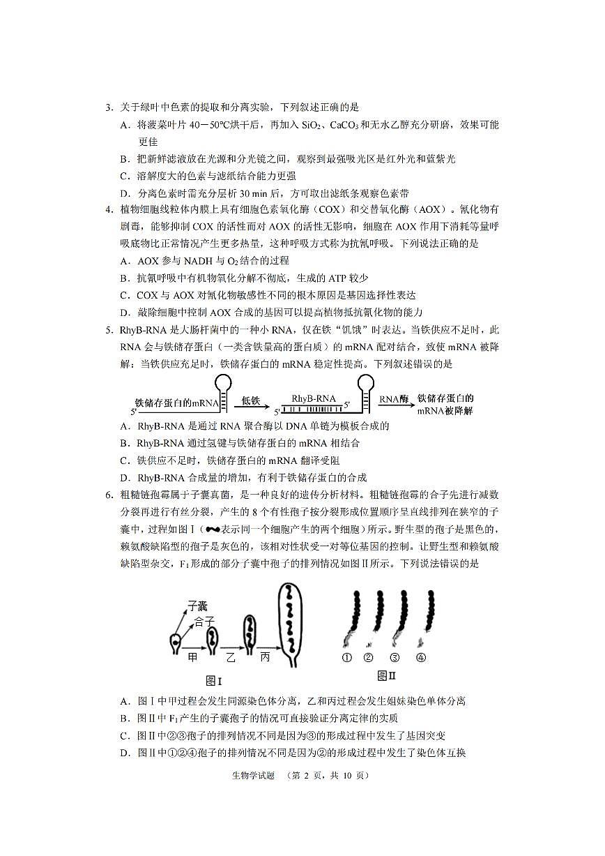 2024届湖南省长沙市长郡中学高三上学期期末适应性考(1月)-生物试题（含答案）第2页
