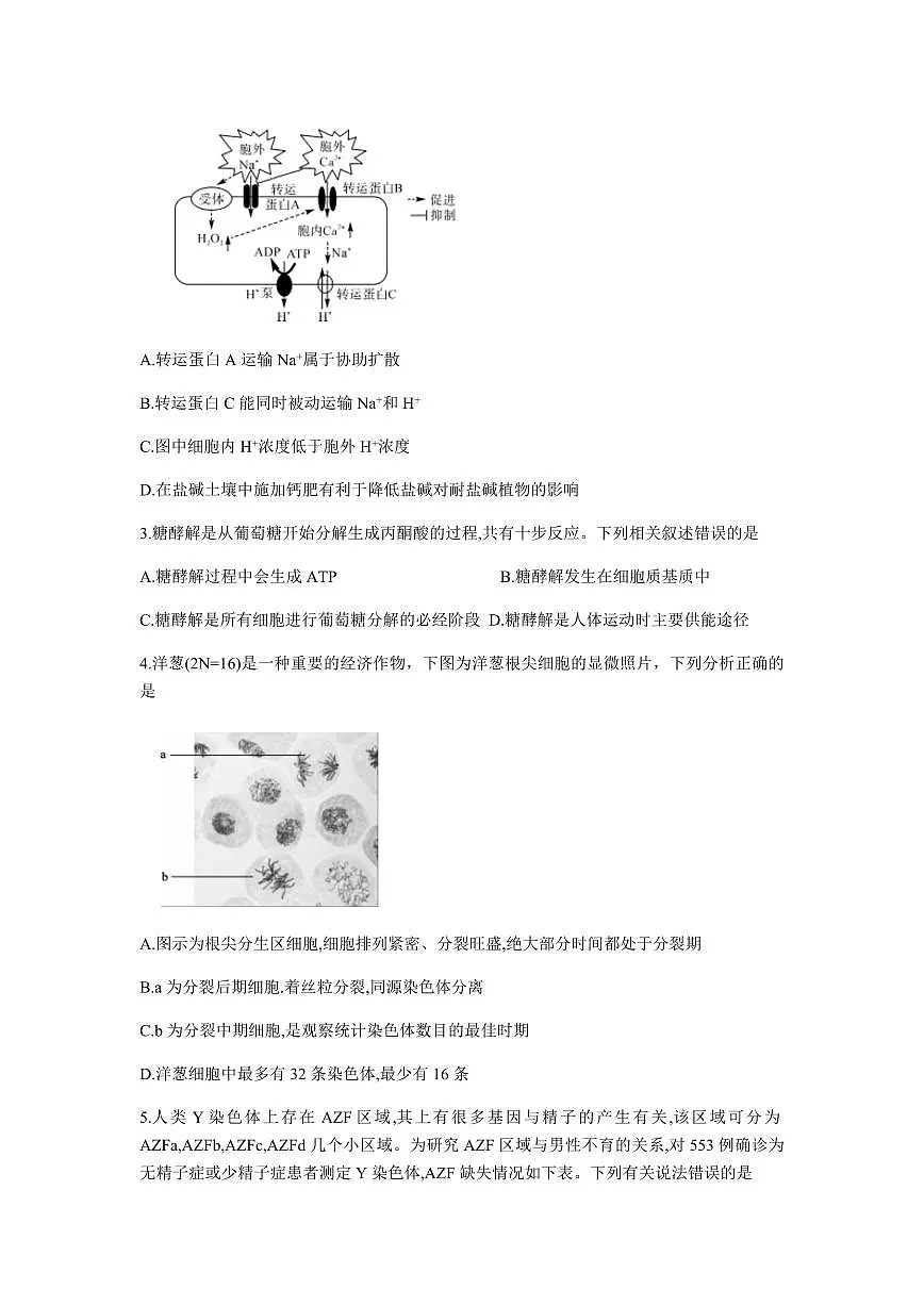 2024届湖南天一联盟高三上学期（开学考）-生物试题（含答案）第2页