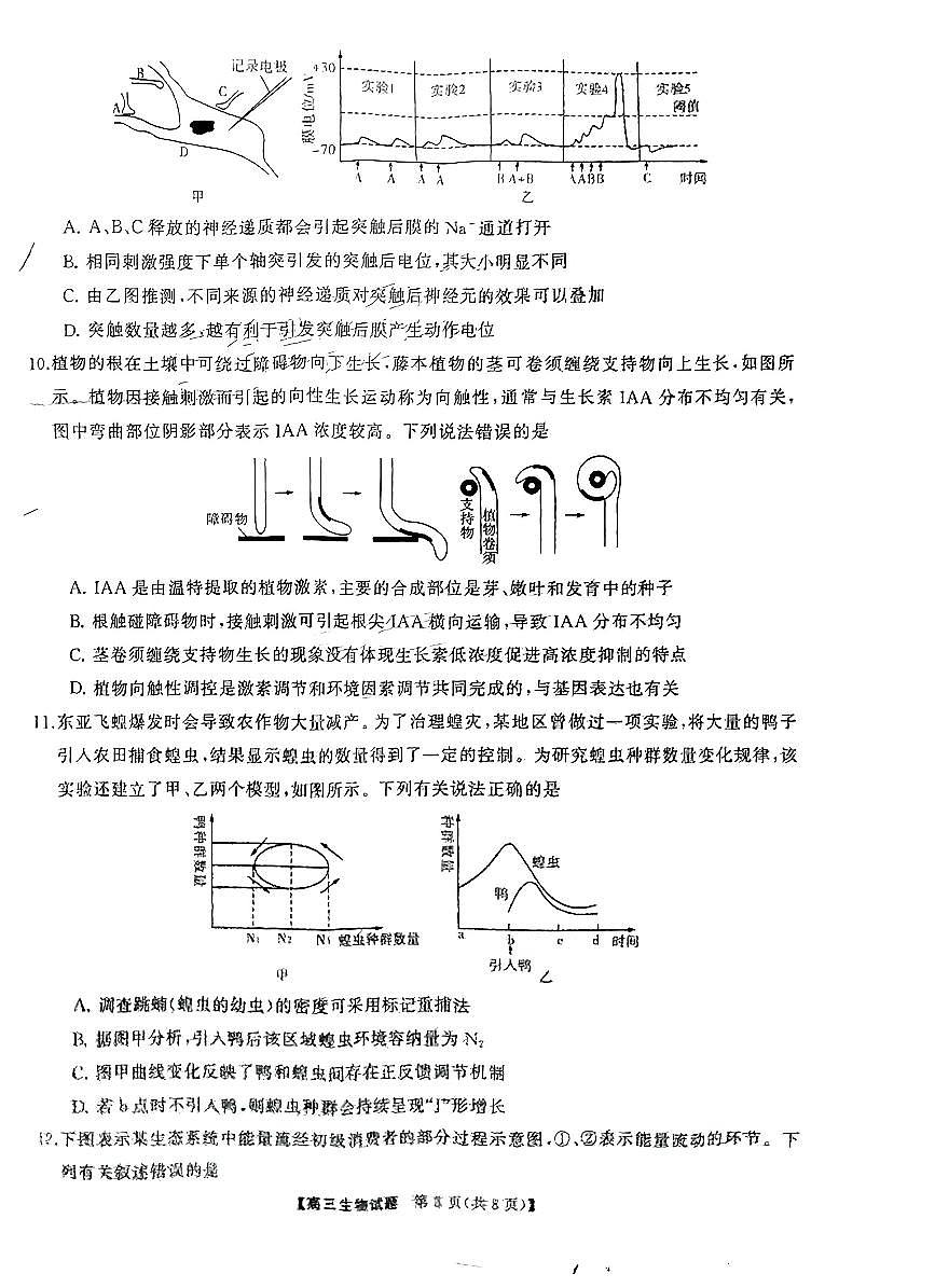 2024届湖南天壹联盟三湘名校高三下学期入学摸底考试(2月)-生物试题（含答案）第3页