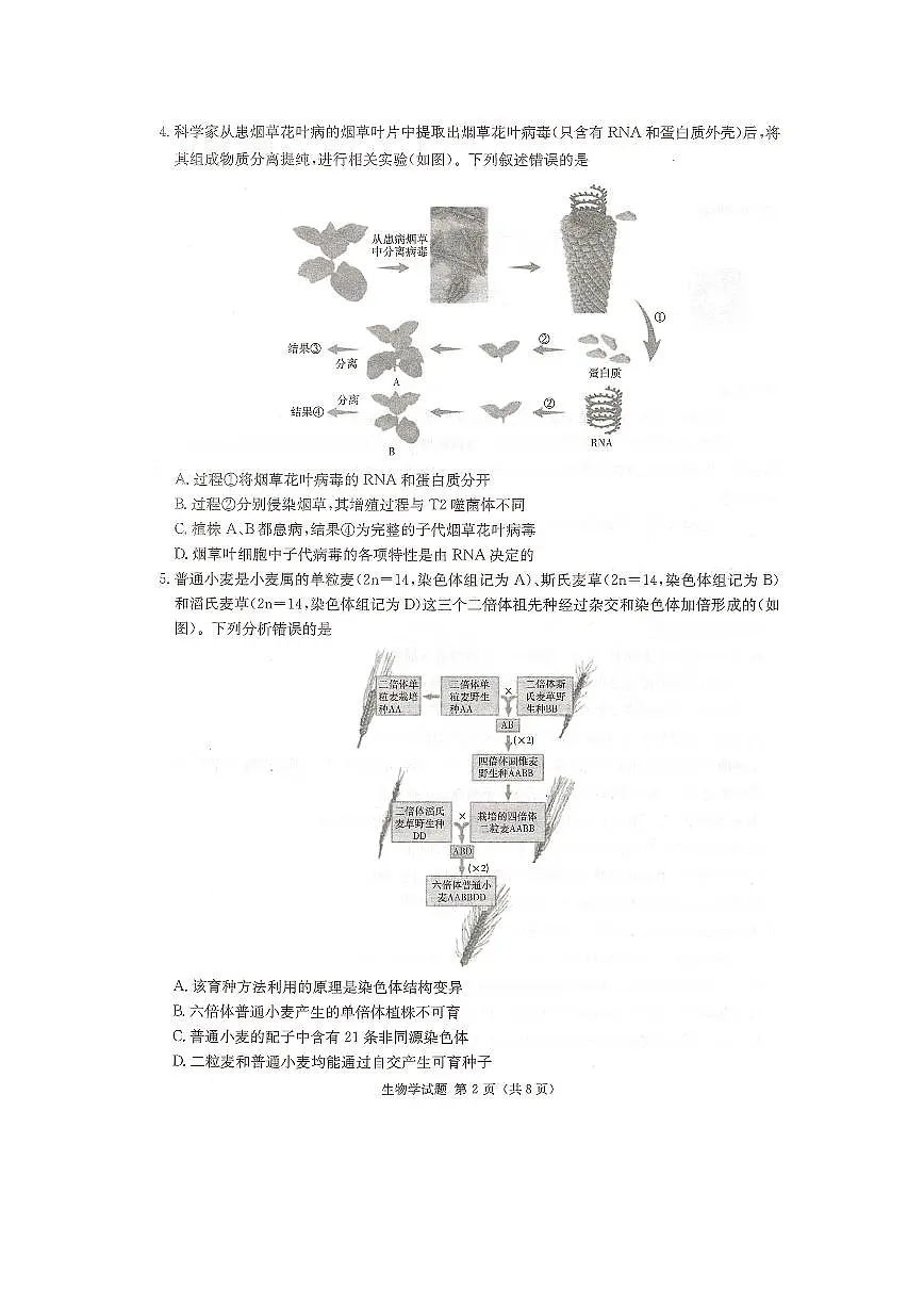2024届湖南炎德英才高三下学期考前仿真联考一-生物试卷（含答案）第2页