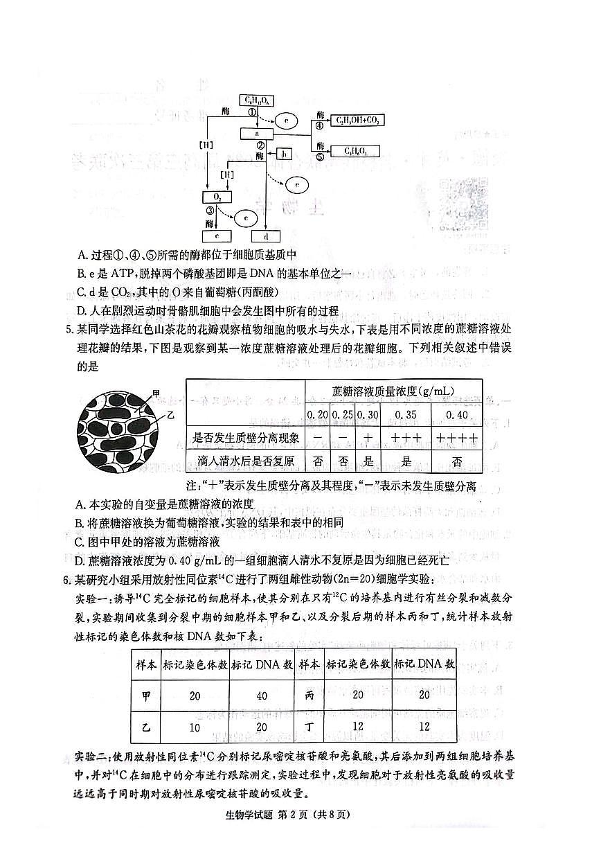 2024届炎德英才名校联合体高三上学期第三次联考(10月)-生物试题（含答案）第2页
