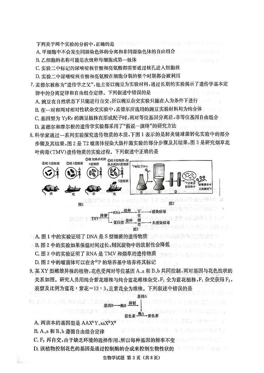 2024届炎德英才名校联合体高三上学期第三次联考(10月)-生物试题（含答案）第3页
