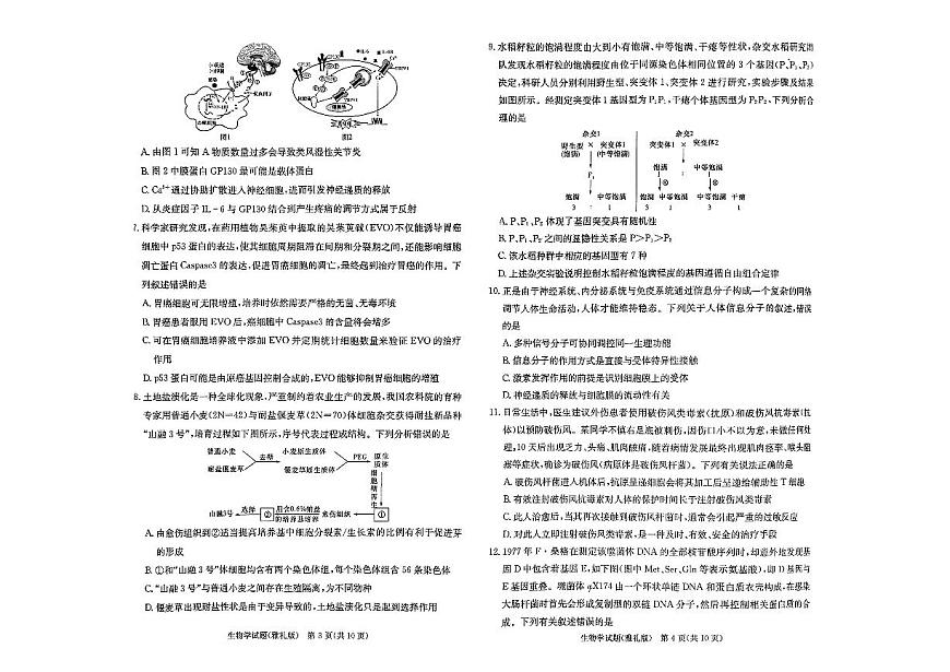 湖南省长沙市雅礼中学2024届高三上学期月考试卷（一）(9月)-生物试题（含答案）第2页