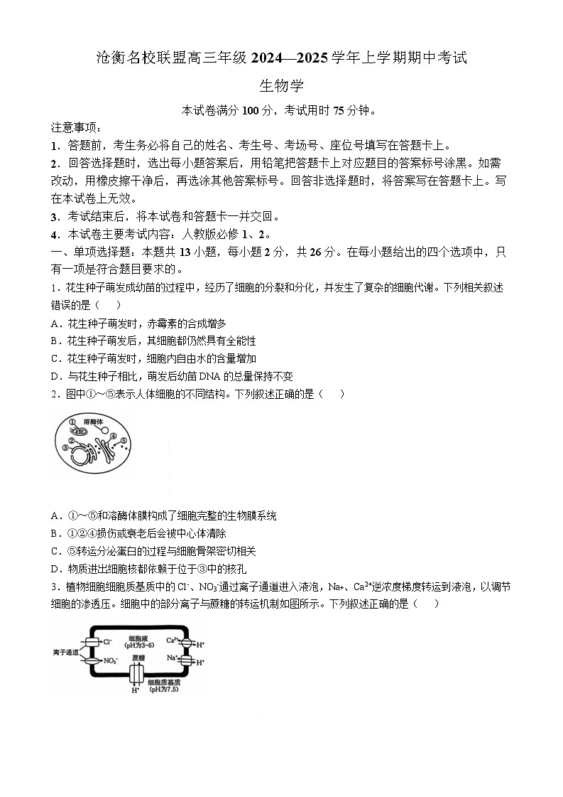 2025届河北省沧衡名校联盟高三11月期中考-生物试题（含答案）第1页