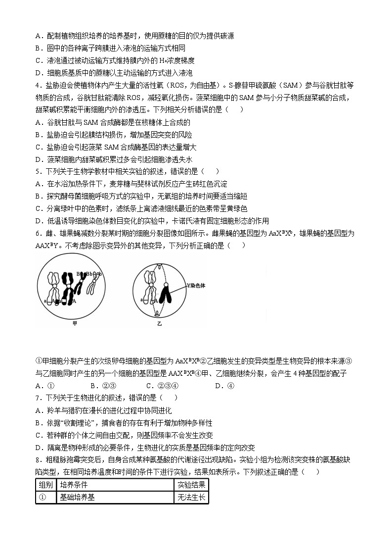 2025届河北省沧衡名校联盟高三11月期中考-生物试题（含答案）第2页