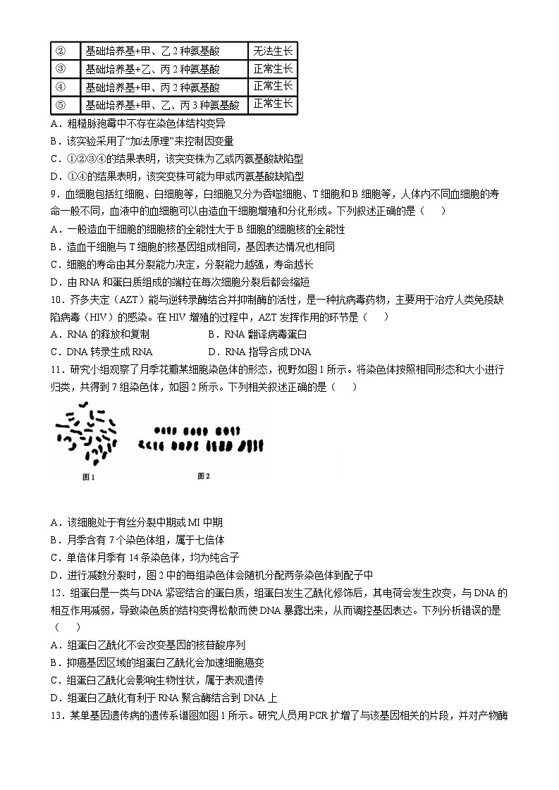2025届河北省沧衡名校联盟高三11月期中考-生物试题（含答案）第3页