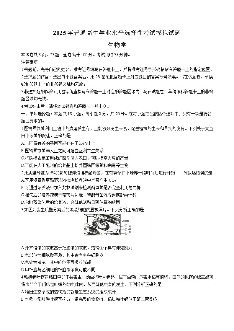 2025届河北省沧州市运东五校高三11月期中考-生物试卷（含答案）第1页