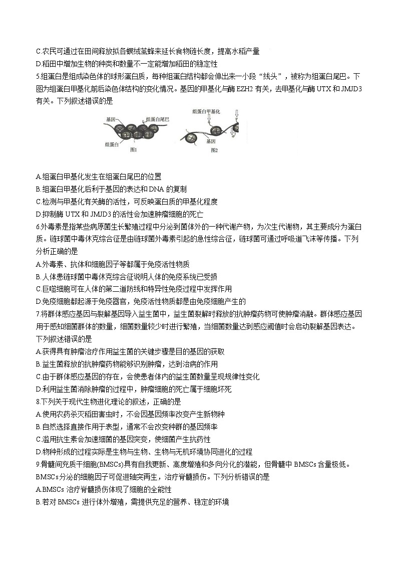 2025届河北省沧州市运东五校高三11月期中考-生物试卷（含答案）第2页