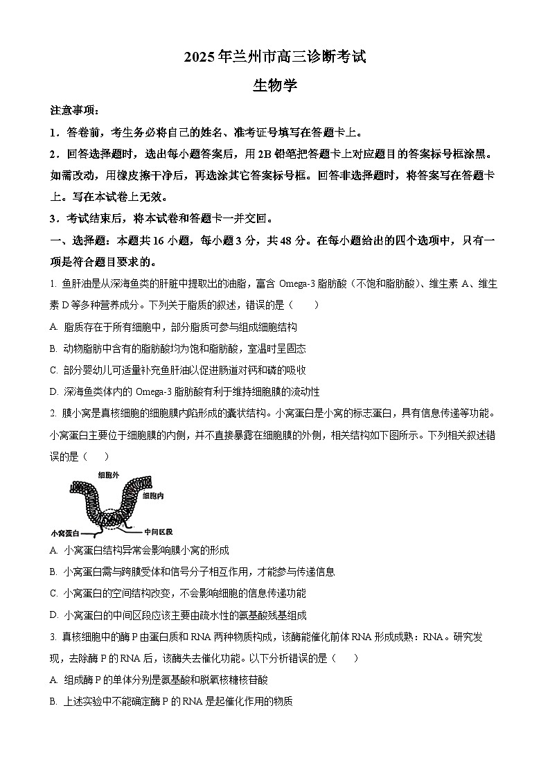 2025届甘肃省兰州市高三诊断考试（一模）生物试题  Word版无答案第1页