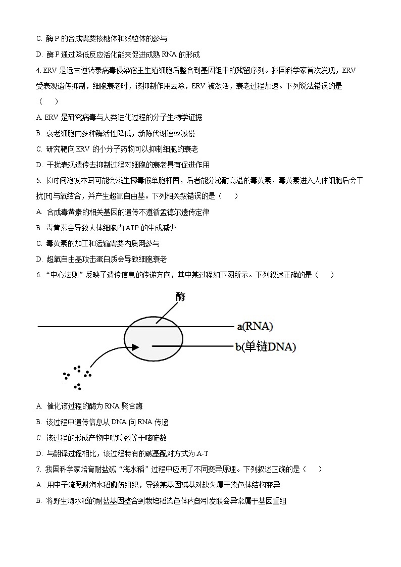 2025届甘肃省兰州市高三诊断考试（一模）生物试题  Word版无答案第2页