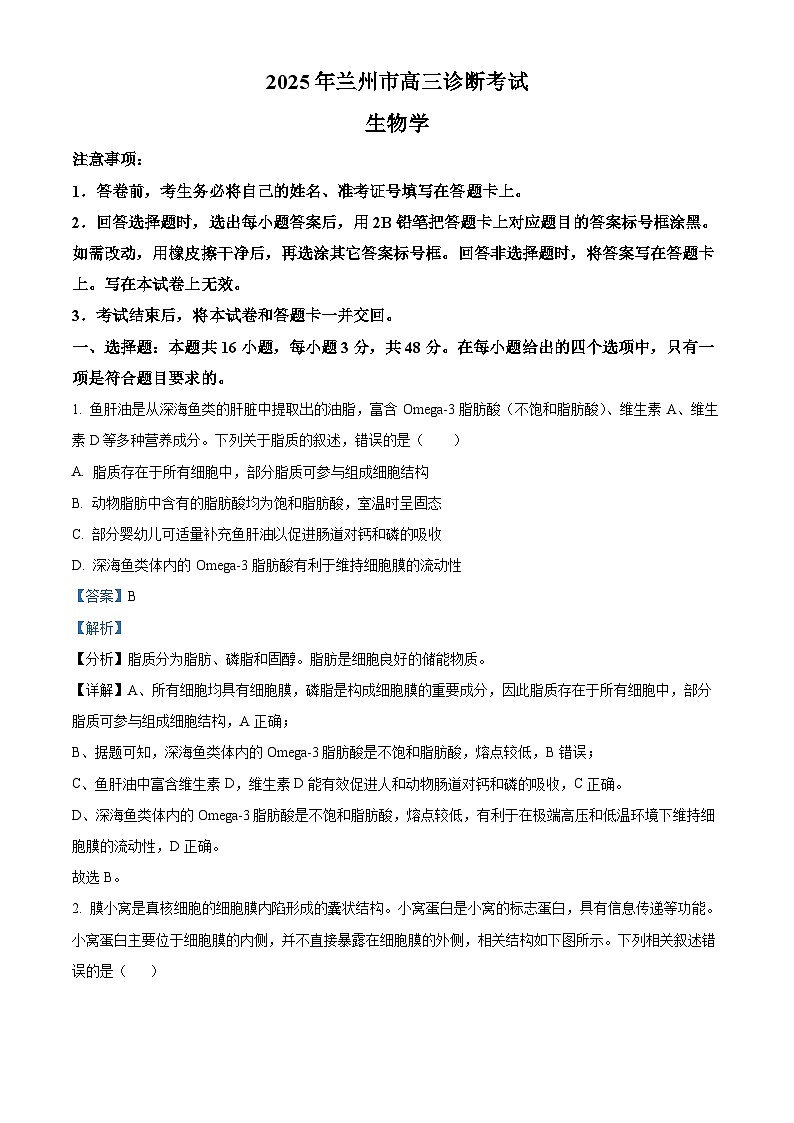 2025届甘肃省兰州市高三诊断考试（一模）生物试题  Word版含解析第1页