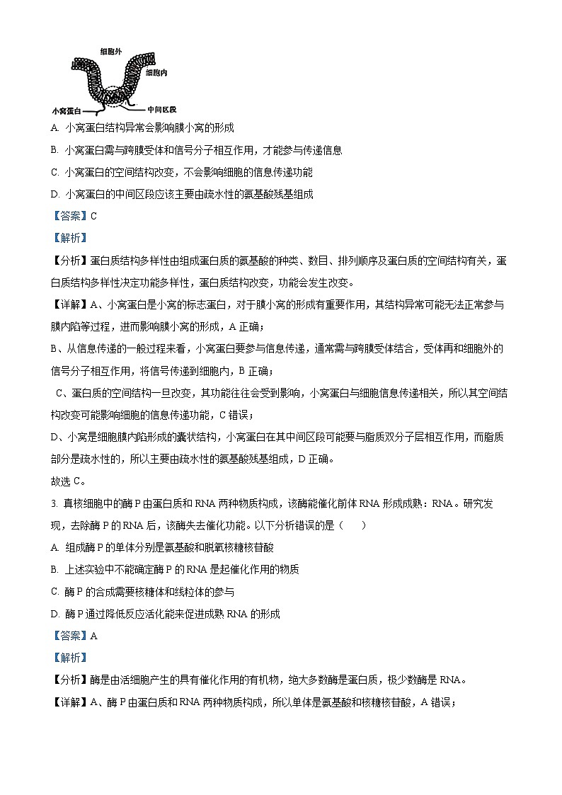 2025届甘肃省兰州市高三诊断考试（一模）生物试题  Word版含解析第2页