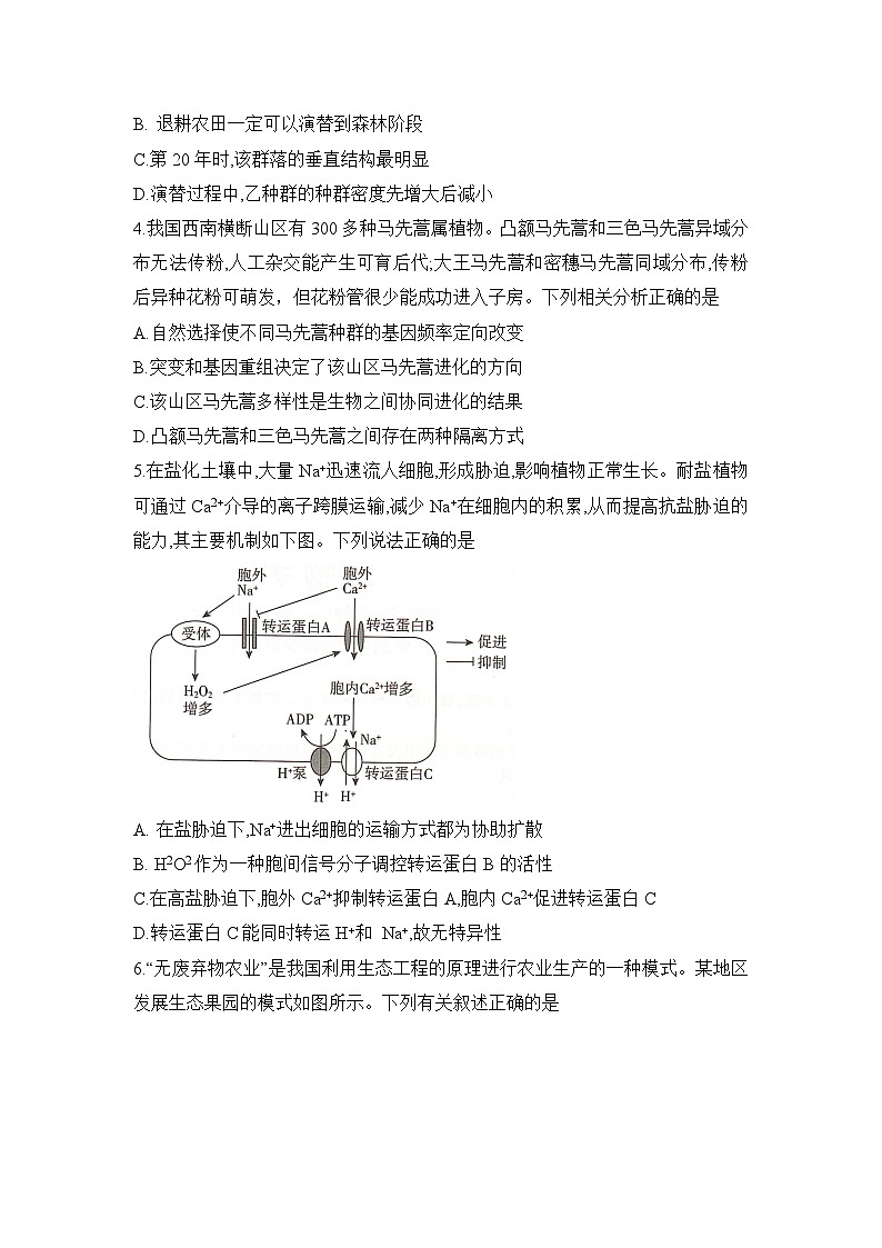 湖南省2025届高考“一起考”大联考第二次模拟生物试题word版第2页