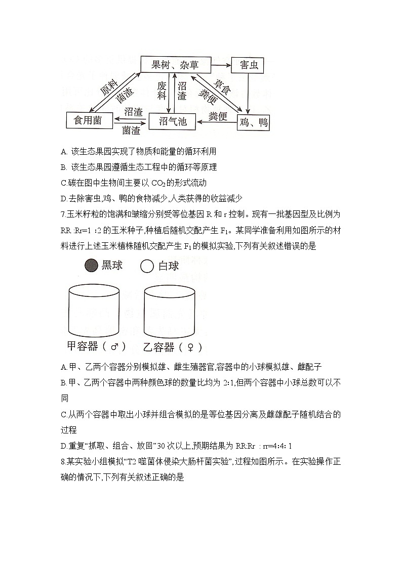 湖南省2025届高考“一起考”大联考第二次模拟生物试题word版第3页