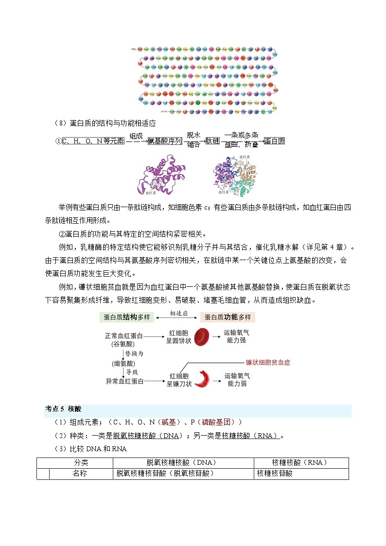 秘籍01 分子与细胞必备梳理-备战2024年高考生物抢分专题讲练（新高考专用）第3页
