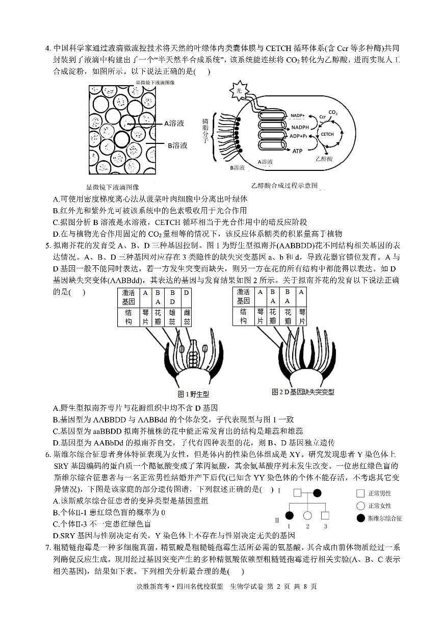 决胜新高考·四川名优校联盟2025届高三下学期4月联考生物试卷（PDF版附答案）第2页