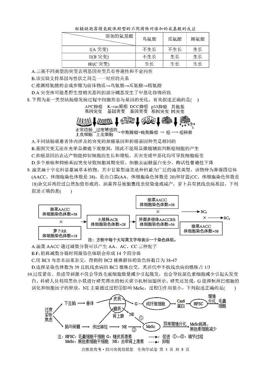 决胜新高考·四川名优校联盟2025届高三下学期4月联考生物试卷（PDF版附答案）第3页