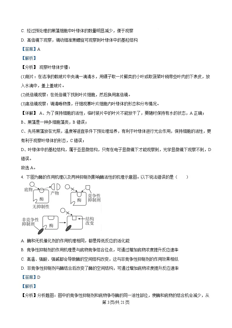湖北省问津教育联合体2024-2025学年高一下学期3月月考生物试题 Word版含解析第3页