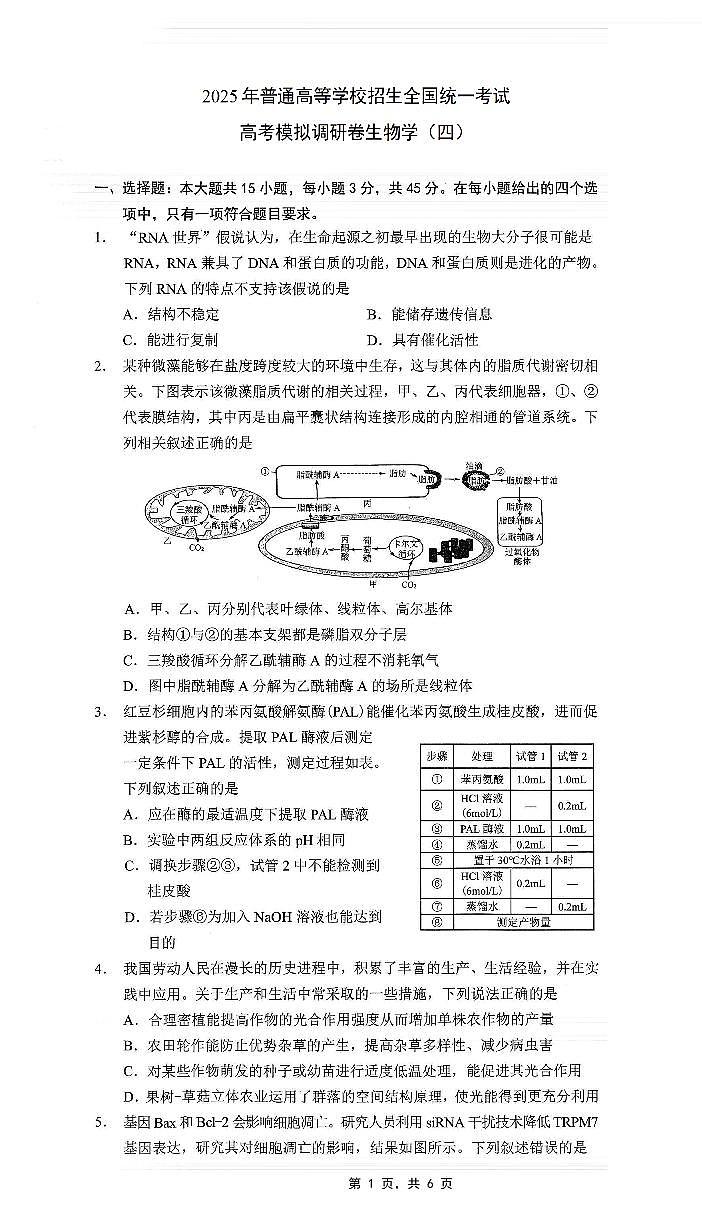 重庆市2025年普通高等学校招生全国统一考试康德调研（四）生物第1页