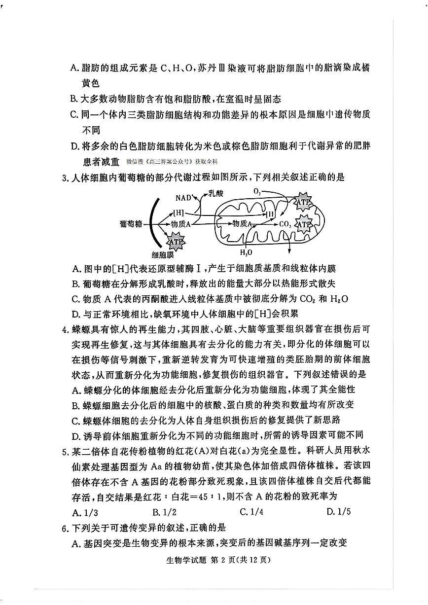 湖南三湘名校教育联盟2025年高考二模生物试题及答案第2页